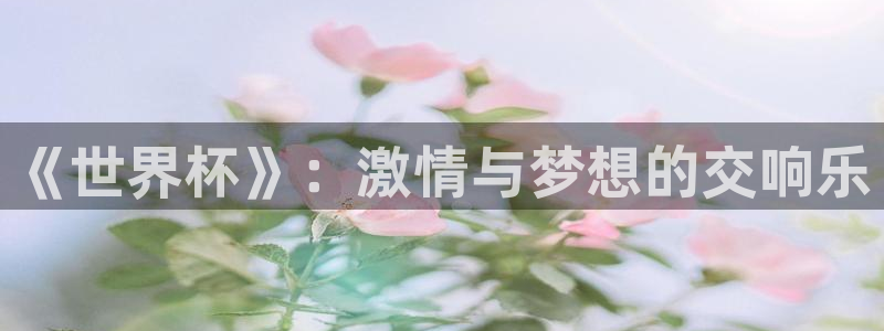 世界杯直播：《世界杯》：激情与梦想的交响乐