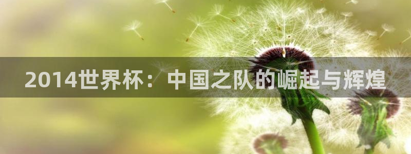 欧洲世界杯预选赛：2014世界杯：中国之队的崛起与辉煌