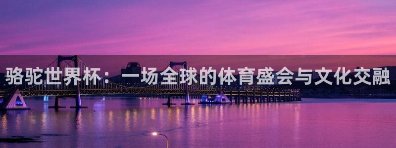 世界杯欧洲区预选赛：骆驼世界杯：一场全球的体育盛会与文化交融