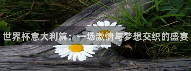 世界杯比赛赛程：世界杯意大利篇：一场激情与梦想交织的盛宴