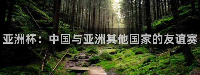 中国 世界杯：亚洲杯：中国与亚洲其他国家的友谊赛