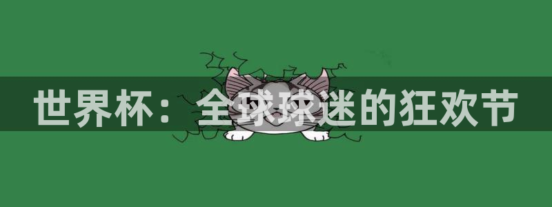 世界杯球队排名：世界杯：全球球迷的狂欢节