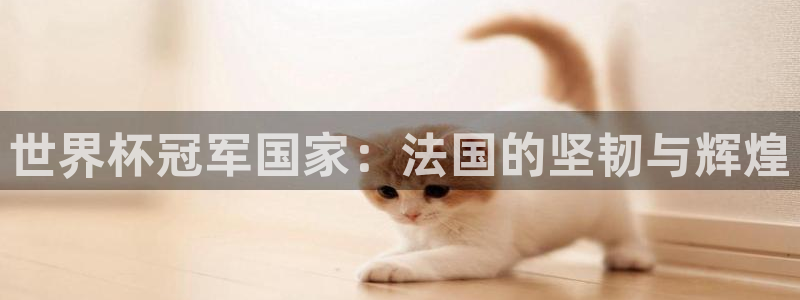 2026世界杯赛程表完整版：世界杯冠军国家：法国的坚韧与辉煌
