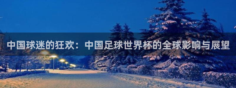 世界杯足球赛2026：中国球迷的狂欢：中国足球世界杯的全球影响与展望