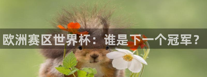世界杯预选赛亚洲区赛程：欧洲赛区世界杯：谁是下一个冠军？