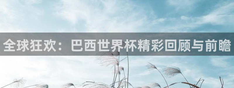 世界杯2026赛程时间表格：全球狂欢：巴西世界杯精彩回顾与前瞻