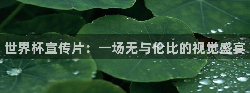 2026足球世界杯赛程时间表：世界杯宣传片：一场无与伦比的视觉盛宴