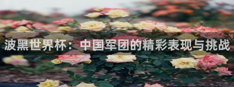 世界杯预选赛赛程表：波黑世界杯：中国军团的精彩表现与挑战