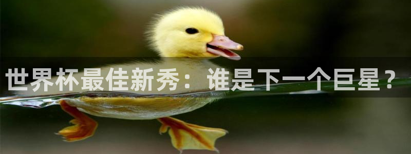 世界杯足球赛2026赛程时间：世界杯最佳新秀：谁是下一个巨星？