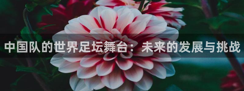 世界杯亚洲预选赛18强赛程：中国队的世界足坛舞台：未来的发展与挑战
