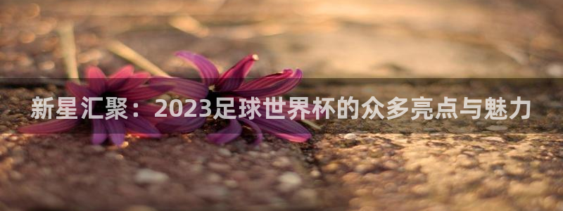 世界杯预选赛欧洲赛区积分榜：新星汇聚：2023足球世界杯的众多亮点与魅力