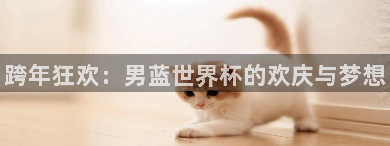 2026世界杯买球:跨年狂欢:男蓝世界杯的欢庆与梦想