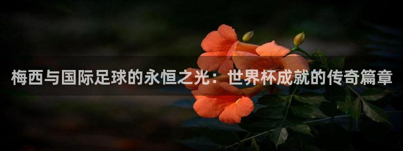 2026世界杯欧洲预选赛赛程表：梅西与国际足球的永恒之光：世界杯成就的传奇篇章
