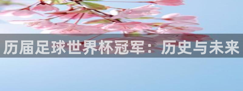 世界杯2026预选赛：历届足球世界杯冠军：历史与未来