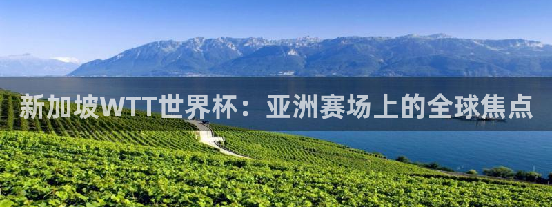 世界杯预赛赛程：新加坡WTT世界杯：亚洲赛场上的全球焦点
