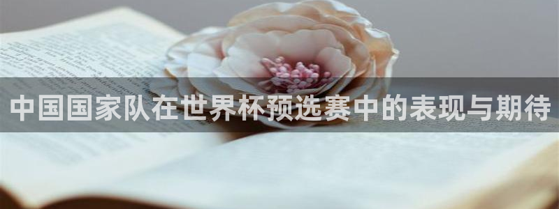 足球比分直播世界杯：中国国家队在世界杯预选赛中的表现与期待