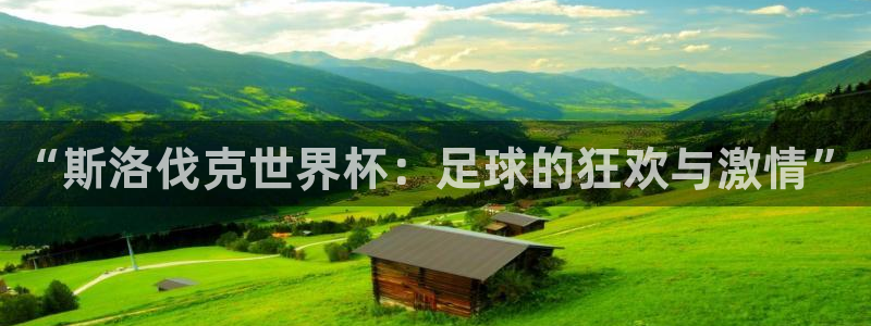 2026世界杯预选赛：“斯洛伐克世界杯：足球的狂欢与激情”